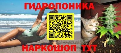 дживик Берёзовский