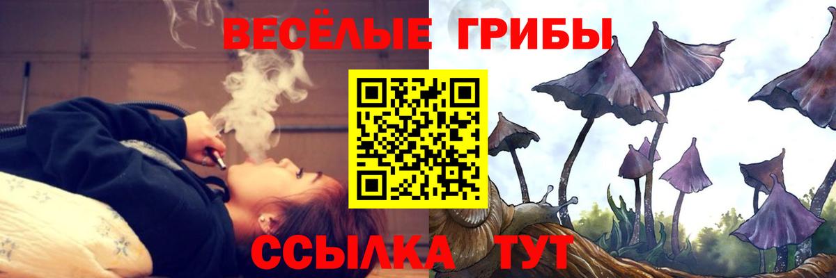 Кировск  Псилоцибиновые грибы мухоморы  Вход с VPN 